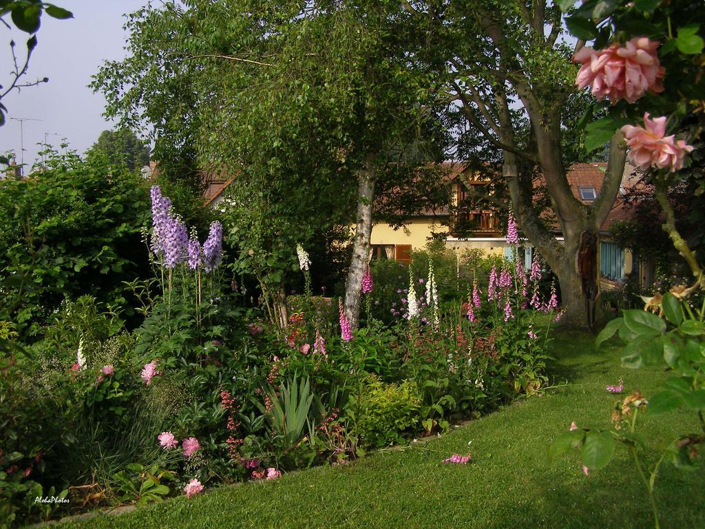 Gite Des Hortillonnages Camon  Экстерьер фото